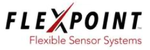FlexPoint